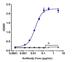 Invitrogen Remtolumab Recombinant Human Monoclonal Antibody:Antibodies:Primary