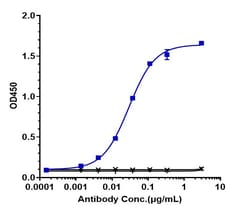 Invitrogen Lutikizumab Humanized Recombinant Human Monoclonal Antibody:Antibodies:Primary