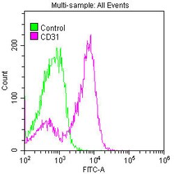 Invitrogen CD31 Recombinant Rabbit Monoclonal Antibody (7B7) 100 &mu;L;