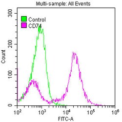 Invitrogen CD74 Recombinant Rabbit Monoclonal Antibody (8H11) 100 &mu;L;