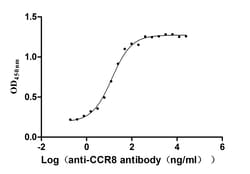Invitrogen CCR8 Recombinant Human Monoclonal Antibody (6B12) 100 &mu;L;