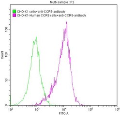 Invitrogen CCR8 Recombinant Human Monoclonal Antibody (6B12) 100 &mu;L;