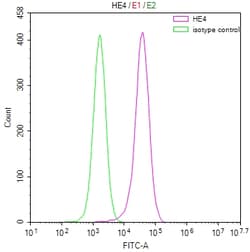 Invitrogen WFDC2 Recombinant Rabbit Monoclonal Antibody (17D2) 100 &mu;L;
