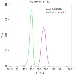 Invitrogen™ Fibronectin Recombinant Rabbit Monoclonal Antibody (25A1)