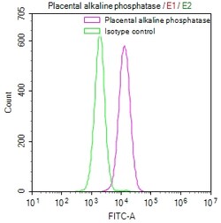 Invitrogen Placental Alkaline Phosphatase Recombinant Rabbit Monoclonal