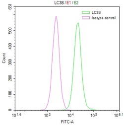 Invitrogen LC3B Recombinant Rabbit Monoclonal Antibody (7D11) 100 &mu;L;