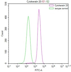 Invitrogen Cytokeratin 20 Recombinant Rabbit Monoclonal Antibody (17A11)