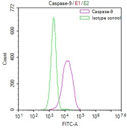 Invitrogen Caspase 9 Recombinant Rabbit Monoclonal Antibody (8G5) 100 &mu;L;