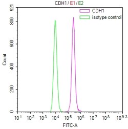 Invitrogen E-cadherin Recombinant Mouse Monoclonal Antibody (30B12) 100