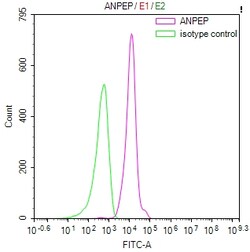 Invitrogen CD13 Recombinant Mouse Monoclonal Antibody (9C4) 100 &mu;L;