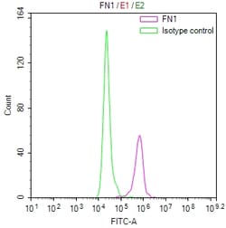 Invitrogen&trade;&nbsp;Fibronectin Recombinant Mouse Monoclonal Antibody (15D11)
