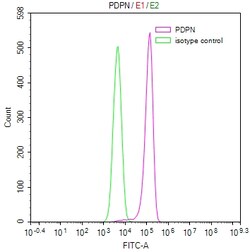 Invitrogen Podoplanin Recombinant Mouse Monoclonal Antibody (34B4) 100