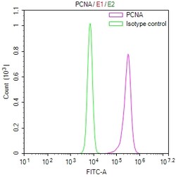 Invitrogen PCNA Recombinant Mouse Monoclonal Antibody (3E8) 100 &mu;L;