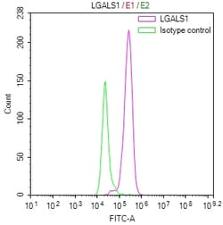 Invitrogen Galectin 1 Recombinant Mouse Monoclonal Antibody (5G8) 100 &mu;L;