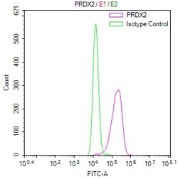Invitrogen PRDX2 Recombinant Mouse Monoclonal Antibody (4E8) 100 &mu;L;