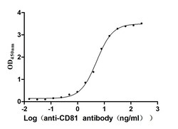 Invitrogen CD81 Recombinant Human Monoclonal Antibody (27H1) 100 &mu;L;