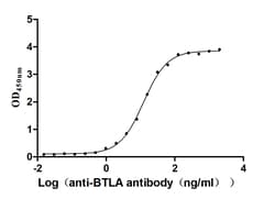 Invitrogen BTLA Recombinant Human Monoclonal Antibody (10A10) 100 &mu;L;