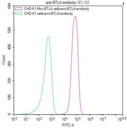 Invitrogen BTLA Recombinant Human Monoclonal Antibody (10A10) 100 &mu;L;