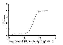 Invitrogen GIPR Recombinant Human Monoclonal Antibody (15D4) 100 &mu;L;