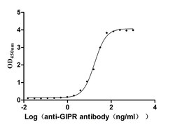 Invitrogen GIPR Recombinant Human Monoclonal Antibody (15D4) 100 &mu;L;