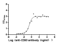 Invitrogen CD93 Recombinant Human Monoclonal Antibody (15B9) 100 &mu;L;