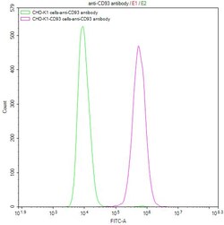 Invitrogen CD93 Recombinant Human Monoclonal Antibody (15B9) 100 &mu;L;