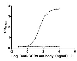 Invitrogen CCR9 Recombinant Human Monoclonal Antibody (8H4) 100 &mu;L | Buy Online | Invitrogen&trade; | Fisher Scientific