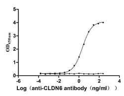 Invitrogen Claudin 6 Recombinant Human Monoclonal Antibody (6D4) 100 &mu;L;