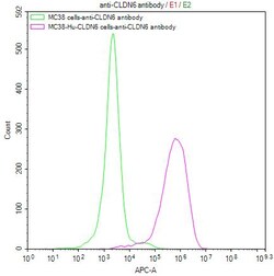 Invitrogen Claudin 6 Recombinant Human Monoclonal Antibody (6D4) 100 &mu;L;