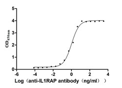 Invitrogen IL-1RAcP Recombinant Human Monoclonal Antibody (2G7) 100 &mu;L;