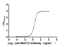 Invitrogen MUC13 Recombinant Human Monoclonal Antibody (6H10) 100 &mu;L;