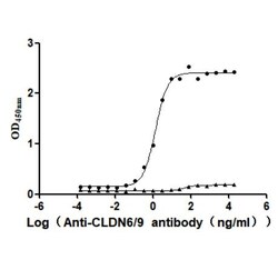 Invitrogen Claudin 6/9 Recombinant Mouse Monoclonal Antibody (9E2) 100