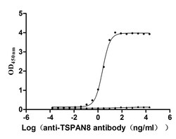 Invitrogen TSPAN8 Recombinant Human Monoclonal Antibody (7D4) 100 &mu;L;