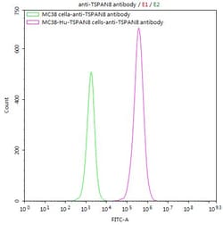 Invitrogen TSPAN8 Recombinant Human Monoclonal Antibody (7D4) 100 &mu;L;