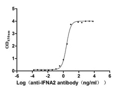 Invitrogen Interferon alpha-2 Recombinant Human Monoclonal Antibody (8E8)