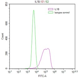 Invitrogen IL-1 beta Recombinant Human Monoclonal Antibody (6E4) 100 &mu;L;