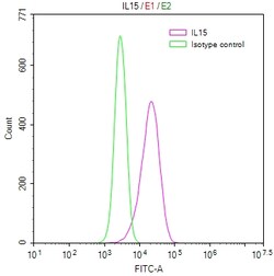 Invitrogen IL-15 Recombinant Human Monoclonal Antibody (8G6) 100 &mu;L;