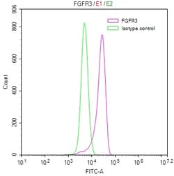 Invitrogen&trade;&nbsp;FGFR3 Recombinant Human Monoclonal Antibody (11B11)