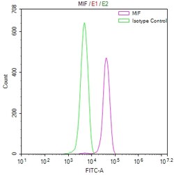 Invitrogen MIF Recombinant Human Monoclonal Antibody (6E11) 100 &mu;L;