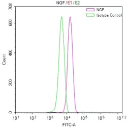 Invitrogen NGF Recombinant Human Monoclonal Antibody (7F12) 100 &mu;L;