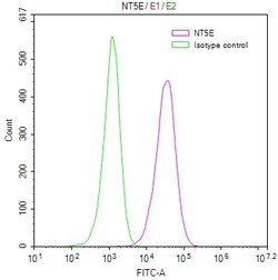 Invitrogen CD73 Recombinant Human Monoclonal Antibody (8G5) 100 &mu;L;