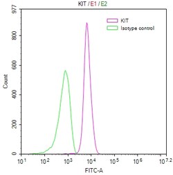 Invitrogen c-Kit Recombinant Human Monoclonal Antibody (6D4) 100 &mu;L;