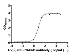 Invitrogen LY6G6D Recombinant Mouse Monoclonal Antibody (9H7) 100 &mu;L;