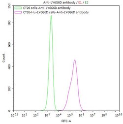 Invitrogen LY6G6D Recombinant Mouse Monoclonal Antibody (9H7) 100 &mu;L;