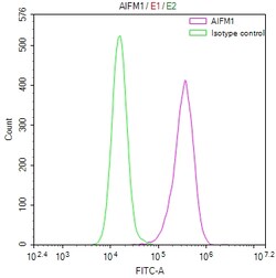 Invitrogen AIF Recombinant Mouse Monoclonal Antibody (16D10) 100 &mu;L;