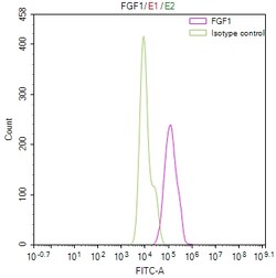 Invitrogen FGF1 Recombinant Mouse Monoclonal Antibody (23H4) 100 &mu;L;