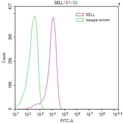 Invitrogen CD62L Recombinant Human Monoclonal Antibody (20B2) 100 &mu;L;