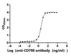 Invitrogen CD79b Recombinant Human Monoclonal Antibody (8E9) 100 &mu;L;