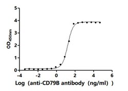 Invitrogen CD79b Recombinant Human Monoclonal Antibody (8E9) 100 &mu;L;