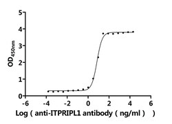 Invitrogen ITPRIPL1 Recombinant Human Monoclonal Antibody (6D11) 100 &mu;L;
